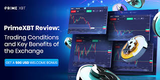 Complete Guide and Review PrimeXBT in Indonesia Complete Guide and Review PrimeXBT in Indonesia